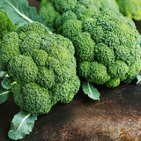 Broccoli