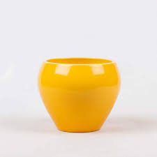 Apple Plastic Pot