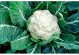 Cauliflower