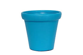 Crown Plastic Pot