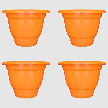 Marigold Pots Mixed Color